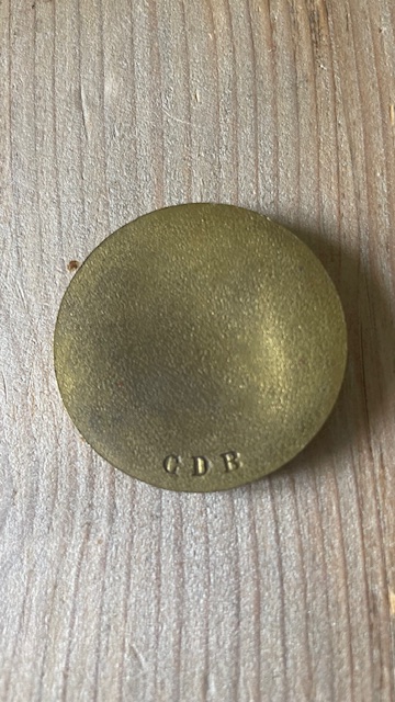 Médaille représentant Victor Hugo - Bronze -