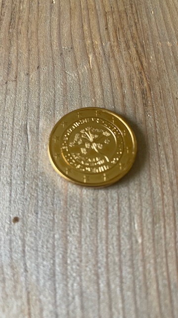 Pièce commémorative 2 euros - Slovénie - 2010 -